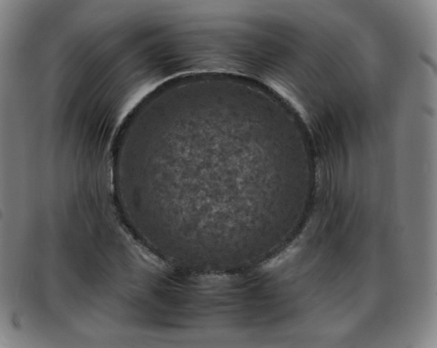 X0000097660925200803071529