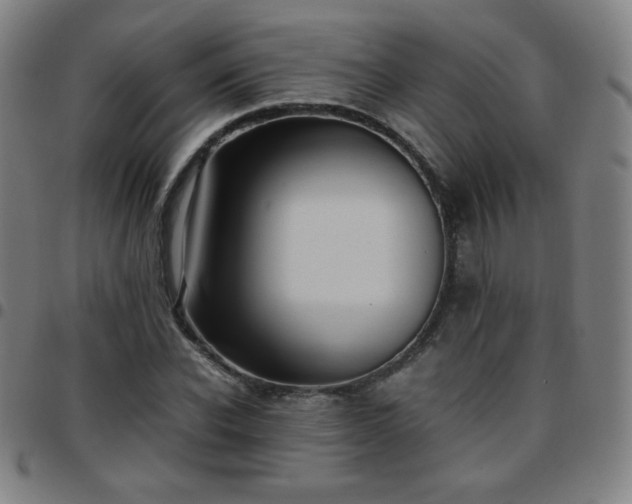 X0000097660926200803071529