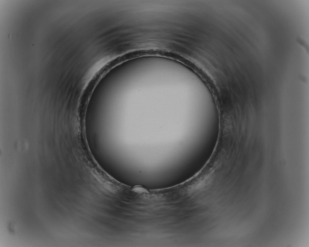 X0000097660927200803071529
