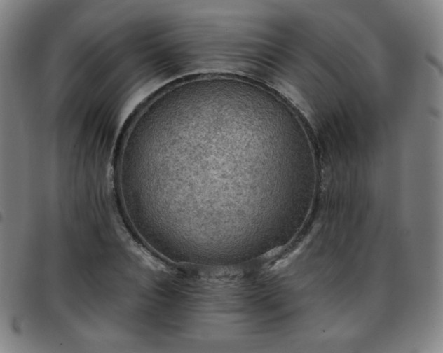 X0000097660928200803071529