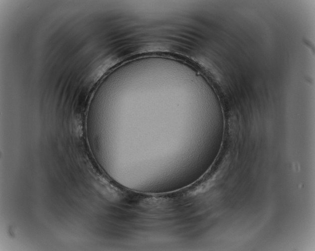 X0000097660929200803071529