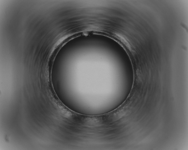 X0000097660931200803071529