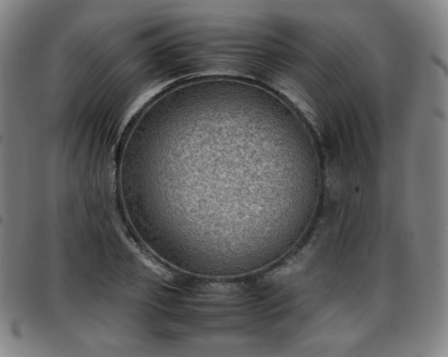 X0000097660933200803071529