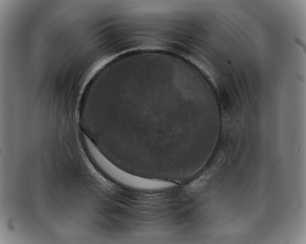 X0000097660935200803071529