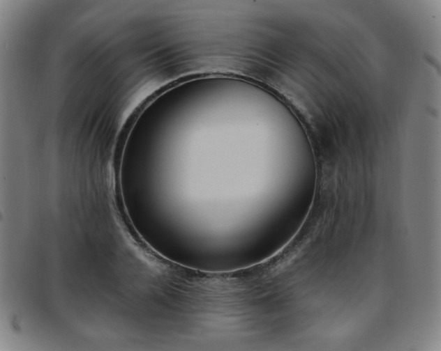 X0000097660936200803071529