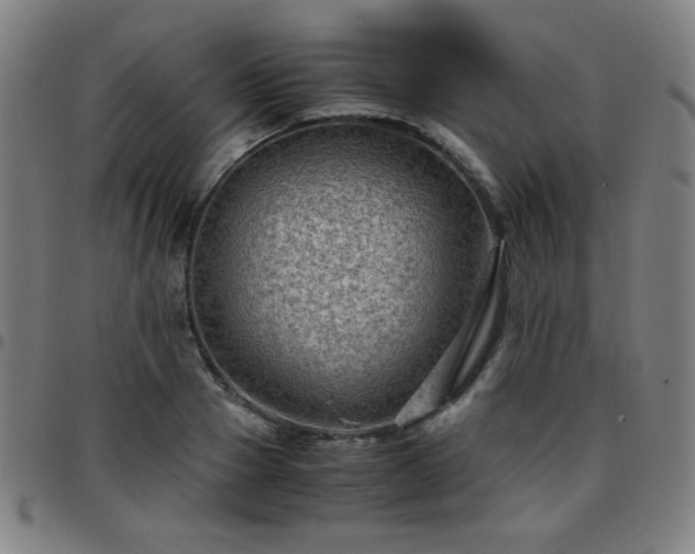 X0000097660937200803071529