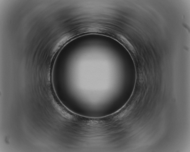 X0000097660938200803071529