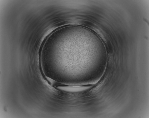 X0000097660939200803071529