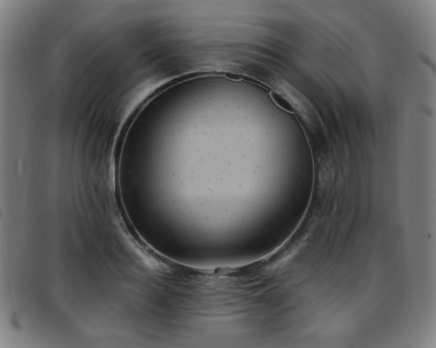 X0000097660940200803071529