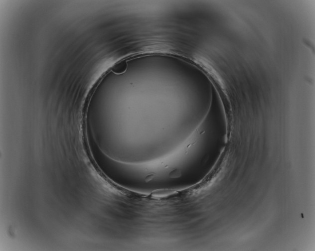 X0000097660941200803071529
