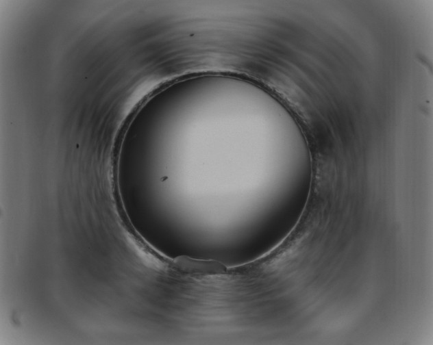 X0000097660942200803071529