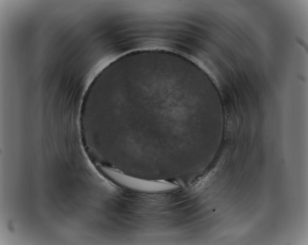 X0000097660943200803071529