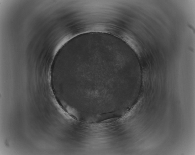 X0000097660944200803071529
