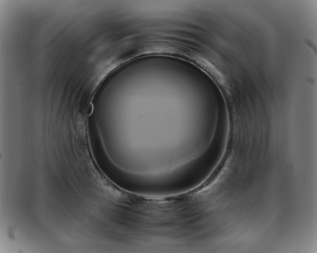 X0000097660945200803071529