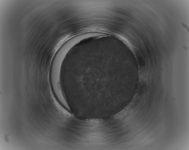 X0000097660946200803071529