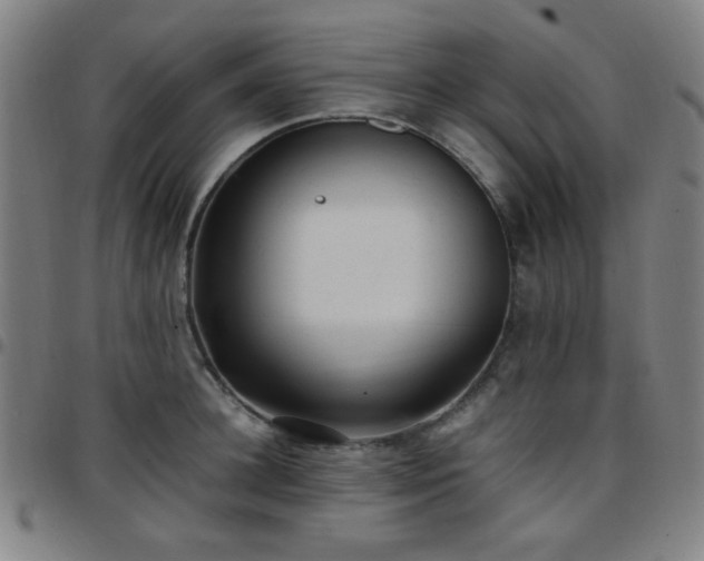 X0000097660948200803071529