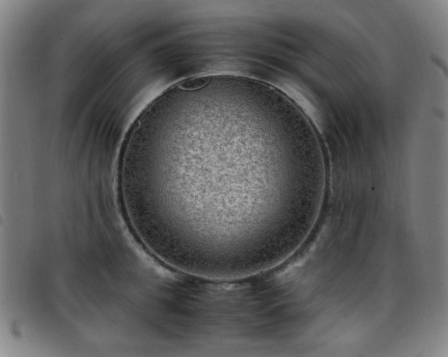 X0000097660949200803071529