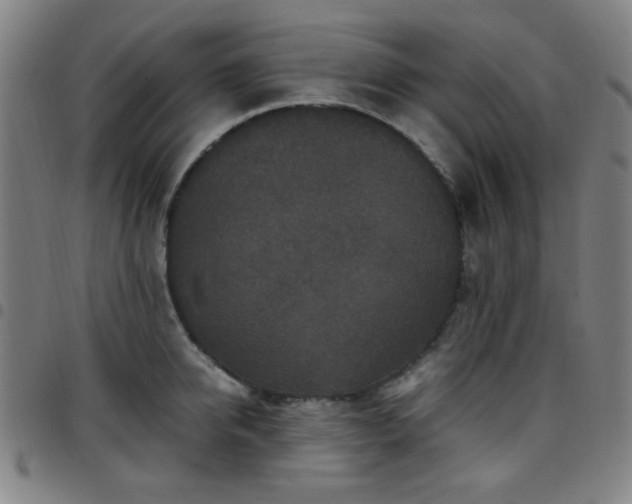 X0000097660950200803071529