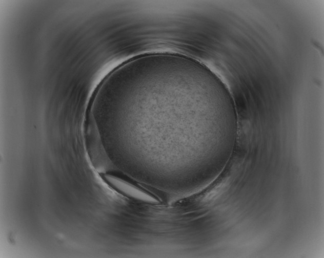 X0000097660951200803071529