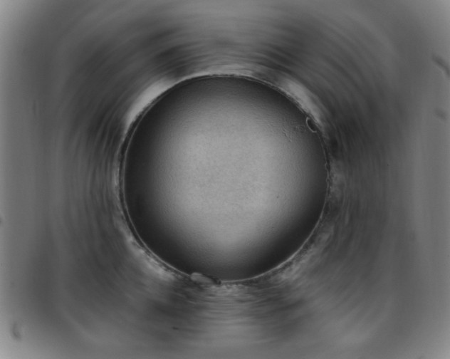 X0000097660952200803071529