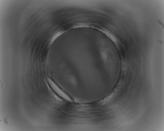 X0000097660953200803071529