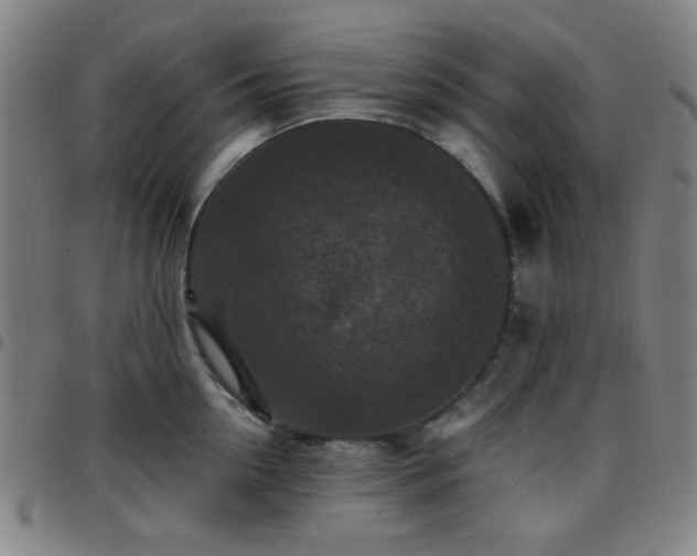 X0000097660954200803071529