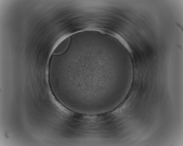 X0000097660955200803071529