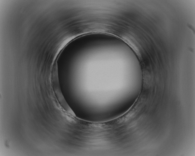 X0000097660956200803071529