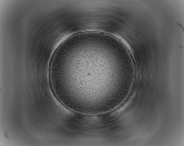 X0000097660957200803071529