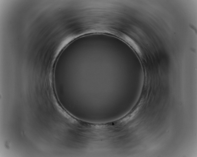 X0000097660958200803071529