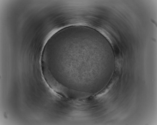 X0000097660959200803071529