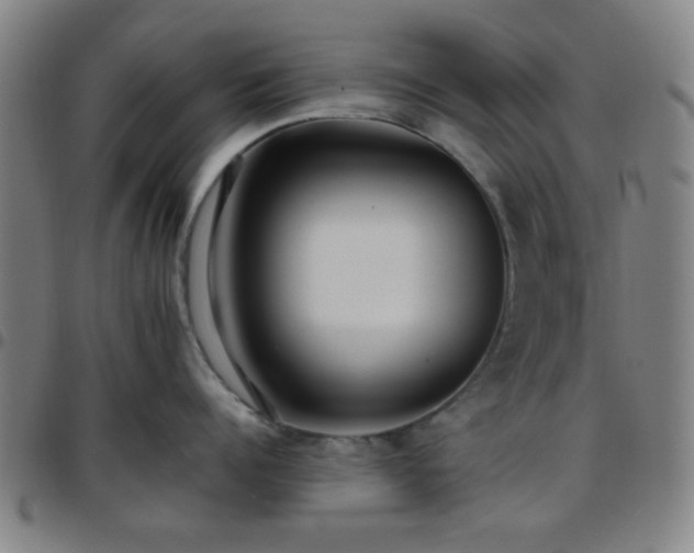 X0000097660960200803071529