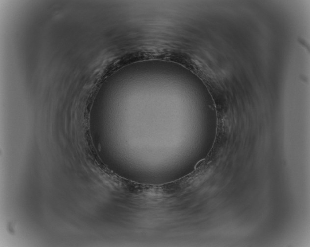 X0000097660961200803071528