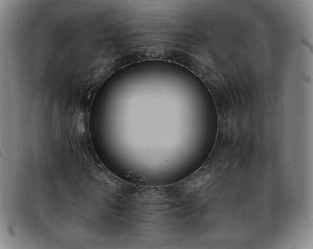 X0000097660962200803071528