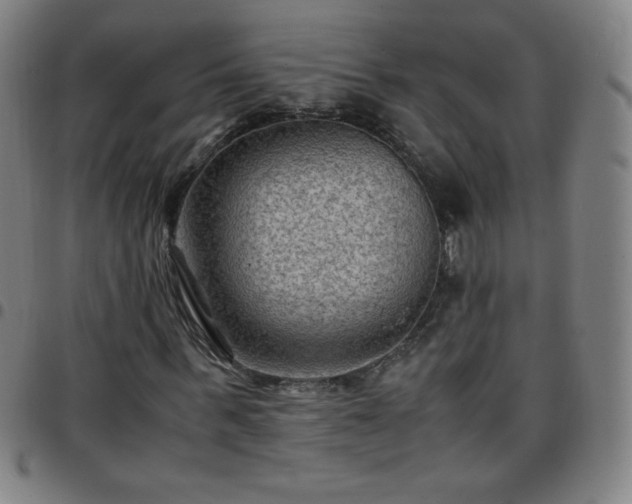 X0000097660963200803071528