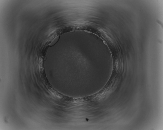X0000097660964200803071528