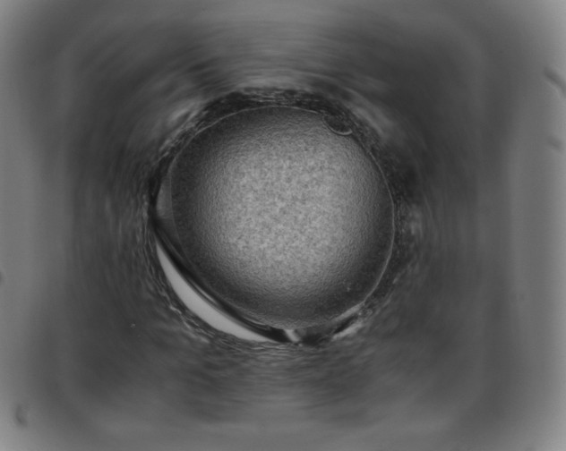 X0000097660965200803071528