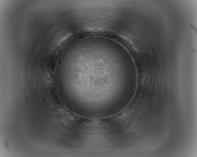 X0000097660966200803071528