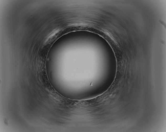 X0000097660967200803071528