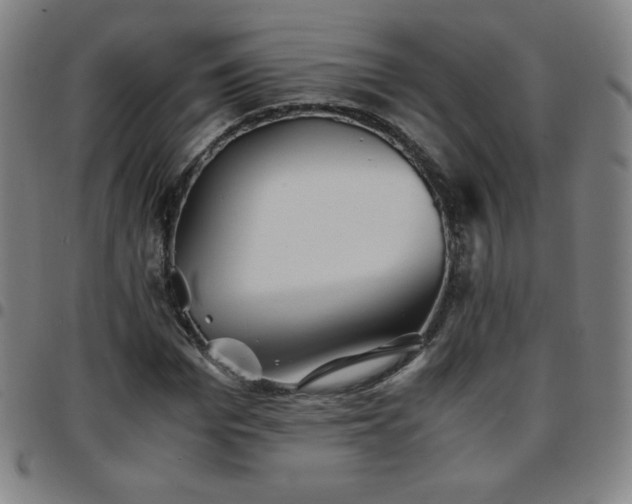 X0000097660969200803071528