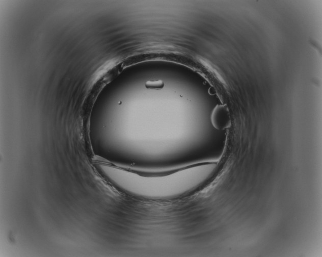 X0000097660970200803071528