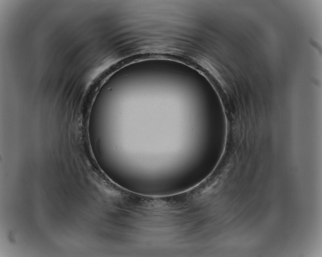 X0000097660971200803071528