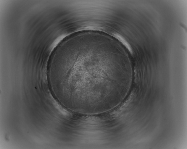 X0000097660972200803071528