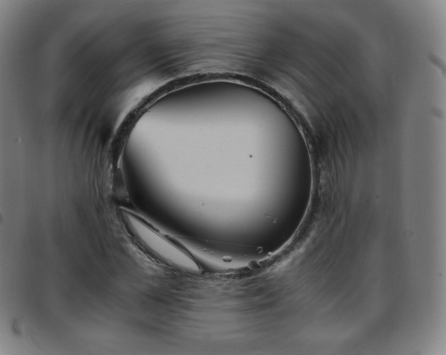 X0000097660973200803071528