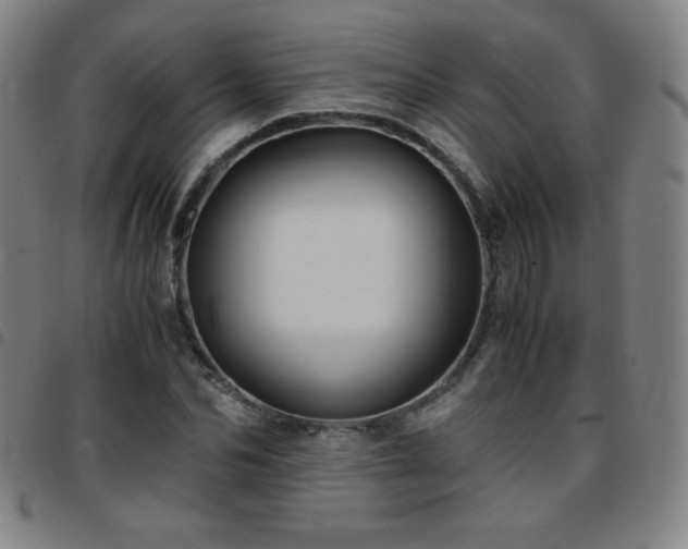 X0000097660974200803071528