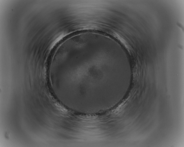 X0000097660975200803071528