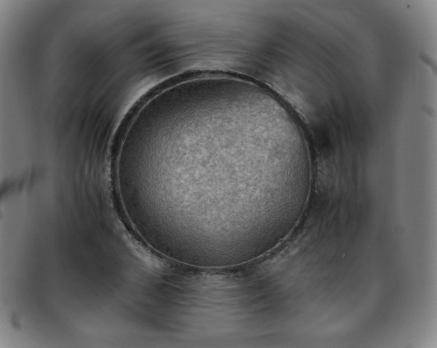X0000097660976200803071528