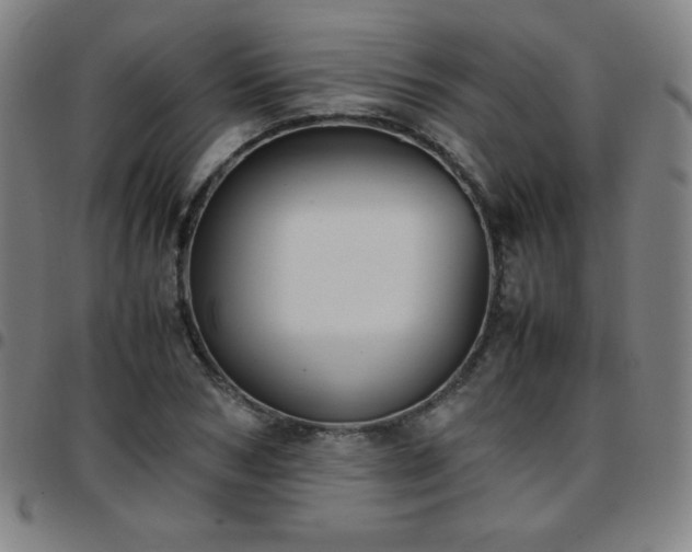 X0000097660978200803071528