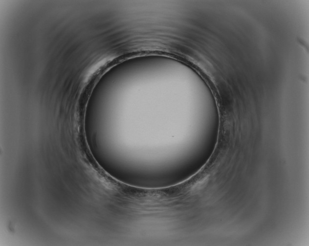 X0000097660979200803071528