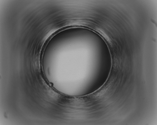 X0000097660980200803071528